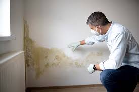 Trusted Heeia, HI Mold Inspection Experts